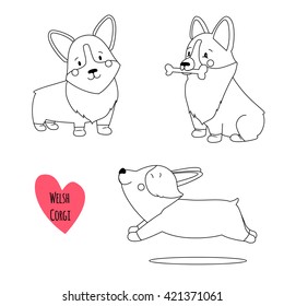 Cute welsh corgi set in different poses in outline black and white style. Vector illustration of dog for decoration, design logotype, leaflet, catalog, pet shops, veterinary clinics