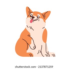 Un lindo corgi galés sentado. Perro divertido y divertido con la lengua fuera. Adorable adorable perrito feliz con emociones cómicas positivas. Dulce cachorro encantador. Ilustración vectorial plana aislada en fondo blanco
