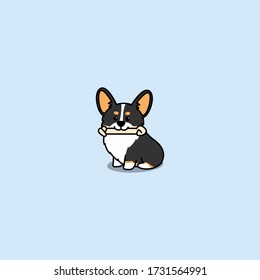 Cute welsh corgi tricolor puppy holding toy in mouth, vector illustration