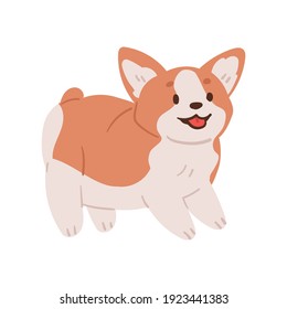 El lindo Welsh Corgi menea la cola y te saluda. Ilustración vectorial de mascotas.