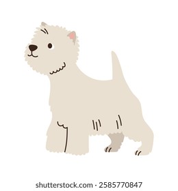 Cute west highland white terrier stands. Pet, breed. Isolated flat vector illustration