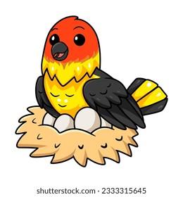 Cute western tanager bird cartoon with eggs in the nest