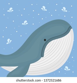 cute whale adorable character