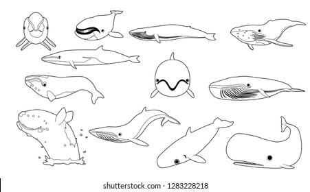 Cute Whale Black and White Cartoon Vector Illustration