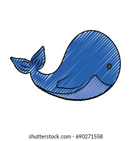 Cute whale cartoon