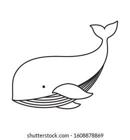 Cute whale cartoon design, Animal zoo life nature character childhood and adorable theme Vector illustration