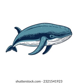 Cute whale design over white