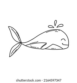 Cute whale in doodle style. Baby line whale .Vector illustration.