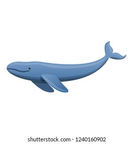 Cute whale icon. Cartoon of cute whale vector icon for web design isolated on white background