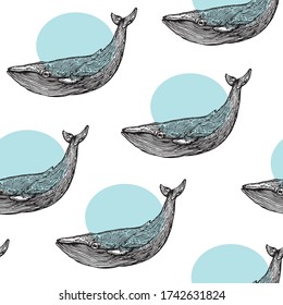 Cute whale pattern vector handrawn. Illustrations for t-shirt design, poster design, packaging, etc. 