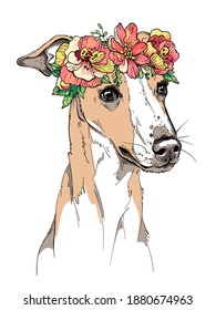 Cute whippet dog in a flower wreath. Spring portrait of a dog. Stylish image for printing on any surface