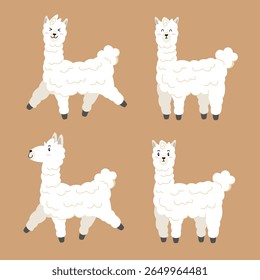 Alpaca branco bonito em diferentes posas - Animal Cartoon Vetor