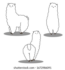 Cute white alpaca with friends