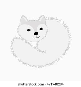 Cute white Arctic Fox vector. Isolated on white background