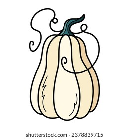 Cute white autumn pumpkin. Hand drawn illustration for Halloween and Thanksgiving decoration.