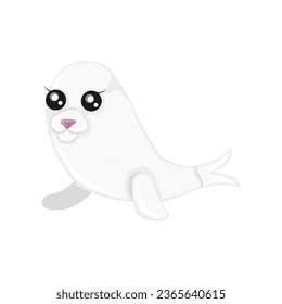 cute white baby seal pup in lying down pose