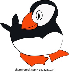 cute white and black bird