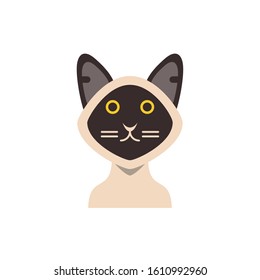 Cute white and black cat cartoon design, Animal pet kitten domestic feline kitty mammal beautiful and portrait theme Vector illustration