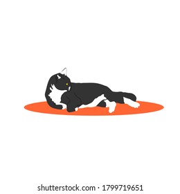 Cute white and black cat resting in orange mat. Pet cartoon icon flat vector illustration.