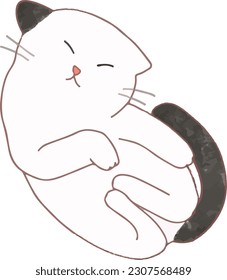 Cute White Black Cat Sleep like a baby