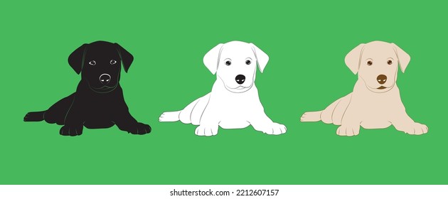 Cute white, black and gray puppy.  Vector illustration of dog breed set in flat style.  Cute dog. Vector illustration isolated on green background, cartoon funny dogs