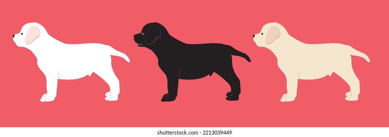 Cute white, black and gray puppy.  Vector illustration of dog breed set in flat style.  Cute dog. Vector illustration isolated on red background, cartoon funny dogs
