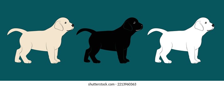 Cute white, black and gray puppy.  Vector illustration of dog breed set in flat style.  Cute dog. Vector illustration isolated on dark green background, cartoon funny dogs