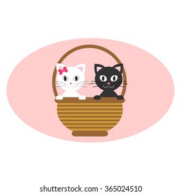cute white and black kitty in the basket