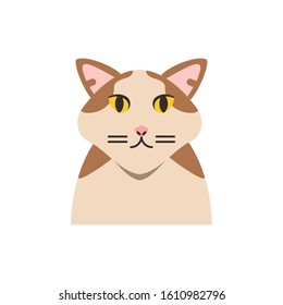 Cute white and brown cat cartoon design, Animal pet kitten domestic feline kitty mammal beautiful and portrait theme Vector illustration