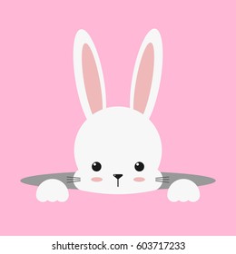 Cute White Bunny, Rabbit Easter