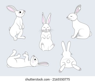 Cute white bunny set. Cartoon rabbit, hare.