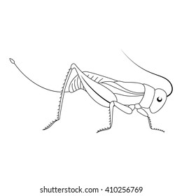 Cute white cartoon grasshopper. Beautiful vector illustration.