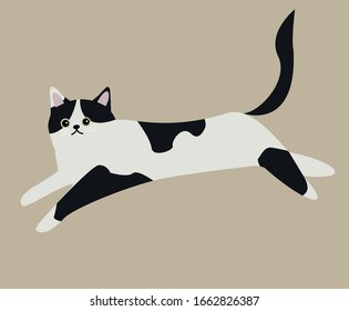 
Cute white cat with black spots.Vector illustration.