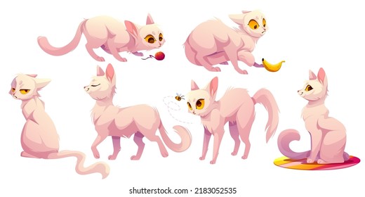 Cute white cat character in different poses. Vector cartoon illustration of funny kitten sitting carpet, walking, scared of banana and bee, play with yarn ball and grumpy