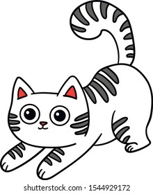 cute white cat with gray stripes on the back and big eyes plays
