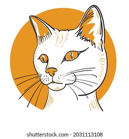 Cute white cat hand drawn vector illustration