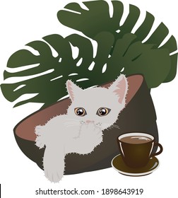 Cute white cat lay down in front of Swiss Cheese plant Monstera with latte coffee. Vector illustration on isolated white back ground.
