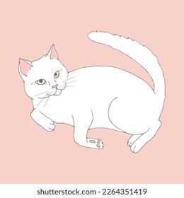 Cute white cat posing on pastel pink background. Hand drawn cat. Sketch. Vector art