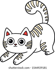 cute white cat with stripes on the back and big eyes plays