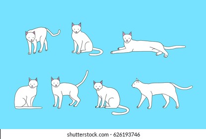 Cute white cats in various positions
