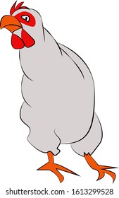 cute white chicken whit orange beak 
