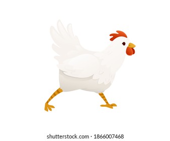 Cute white chiken farm agriculture hen rooster cartoon animal design flat vector illustration