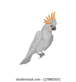 Cute white cockatoo with bright orange crest. Australian bird. Wildlife theme. Detailed flat vector icon