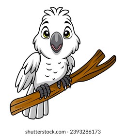 Cute white cockatoo cartoon on white background