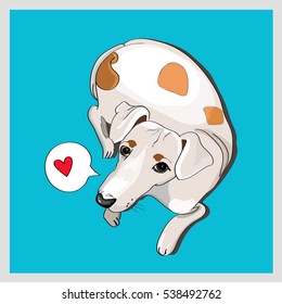 Cute white dog lying on blue background. Puppy with love for Saint Valentine's Day. Jack russell terrier, speech cloud with heart.