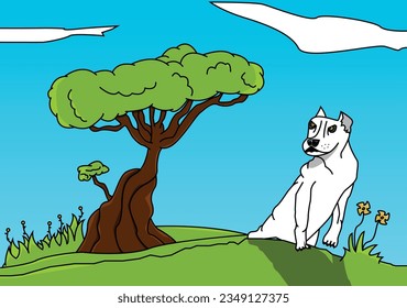 Cute white dog on the grass looking at somewhere vector