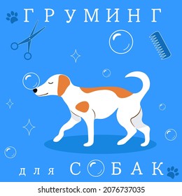 Ein süßer weißer Hund mit roten Flecken auf der Rückseite, auf blauem Hintergrund mit Seifenblasen, die Inschrift auf Russisch: "Grooming for dog"