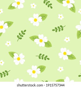 Cuidadoso patrón floral sin costura sobre fondo verde pastel. Patrón de flores de margarita