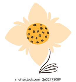 Cute White Flower with Simple Brush Line Decorations in Hand Drawn Style Isolated on White Background. Colorful plant with cute line sketches of branches. Nature herb perfect for invitations, cards