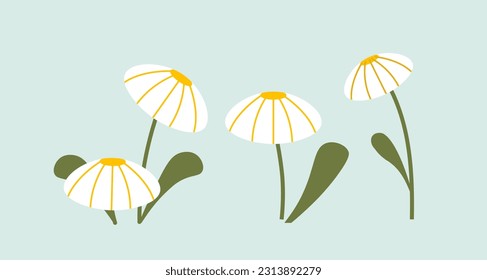 Cute white flowers with grass concept. Floristics and botany, biology. Symbol of spring and summer time of year. Aesthetics and elegance. Cartoon flat vector illustration isolated on blue background